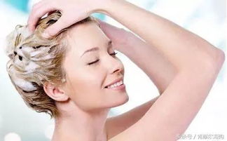 科學護發，選對產品是關鍵 從發質出發的護發產品指南